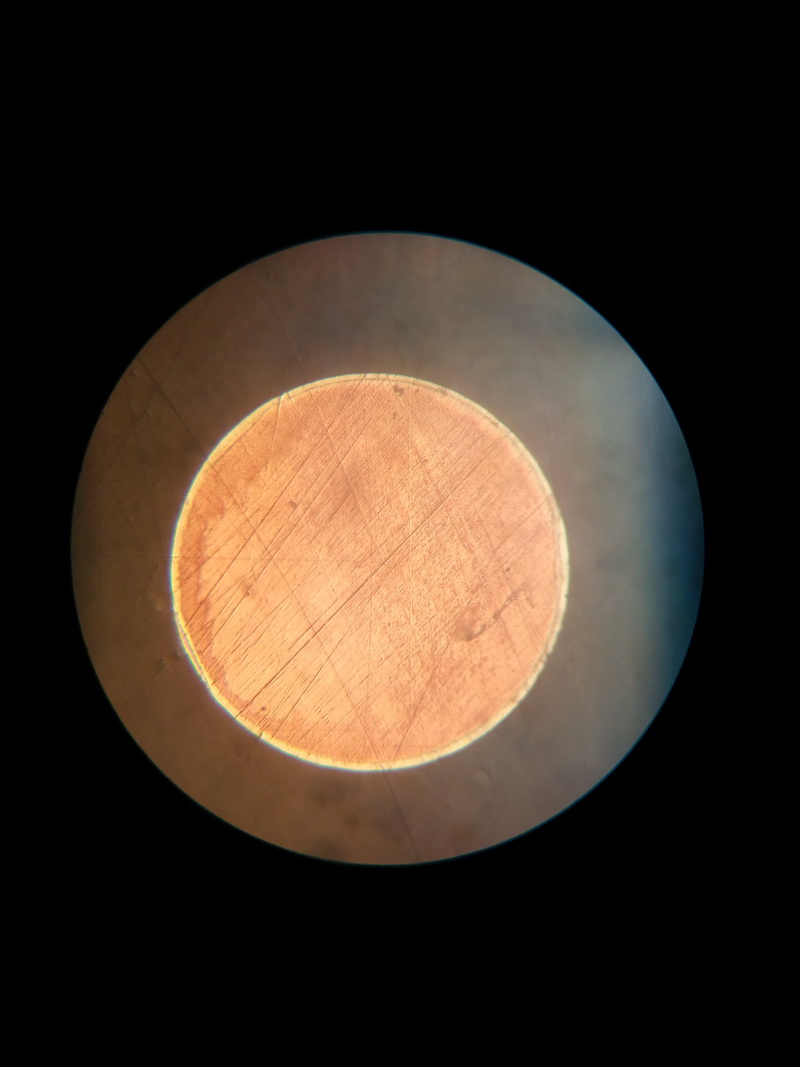 0.60 Sn 8um.jpg 0.60 Sn 8um.jpg